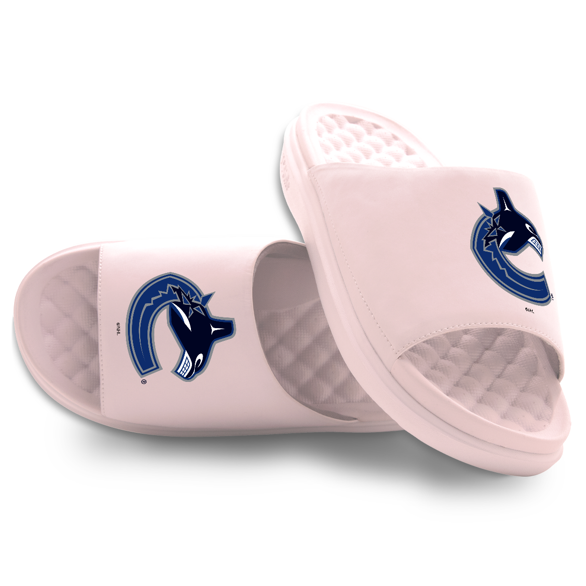 Vancouver Canucks Primary Motive