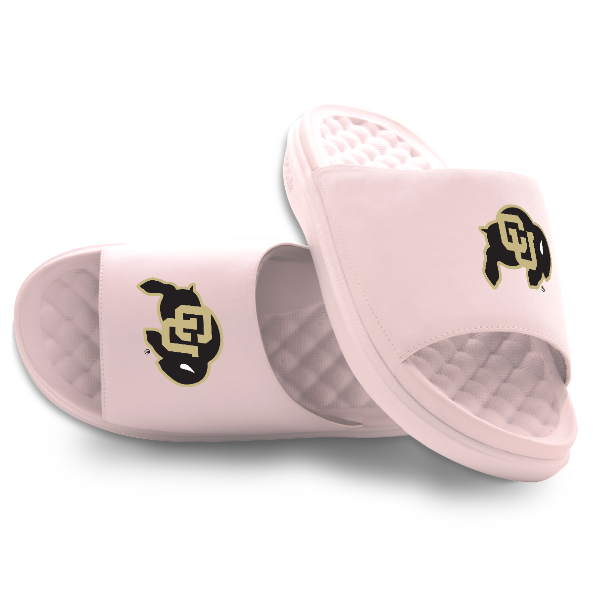 Colorado Buffaloes Primary Motive