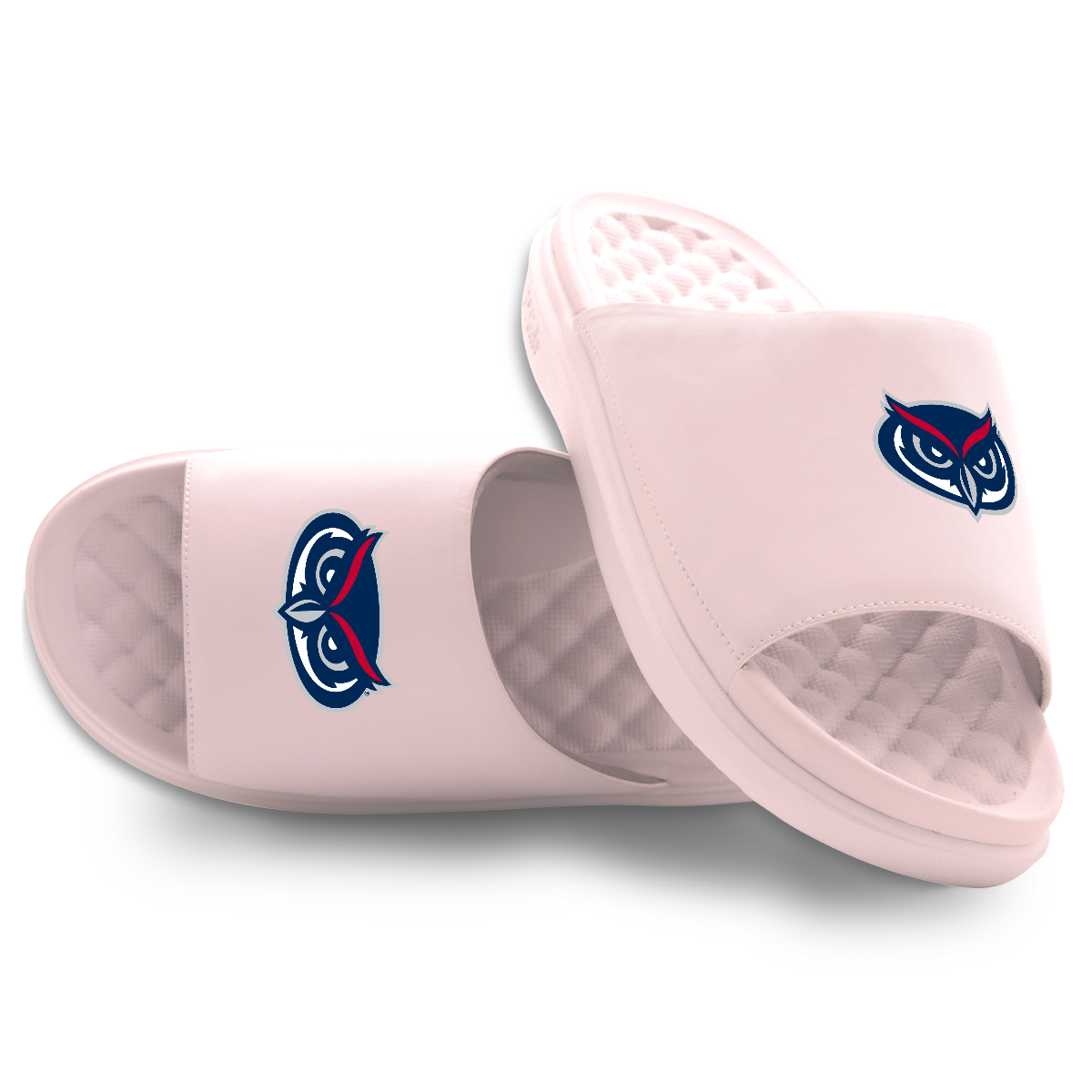 Florida Atlantic Owls Primary Motive