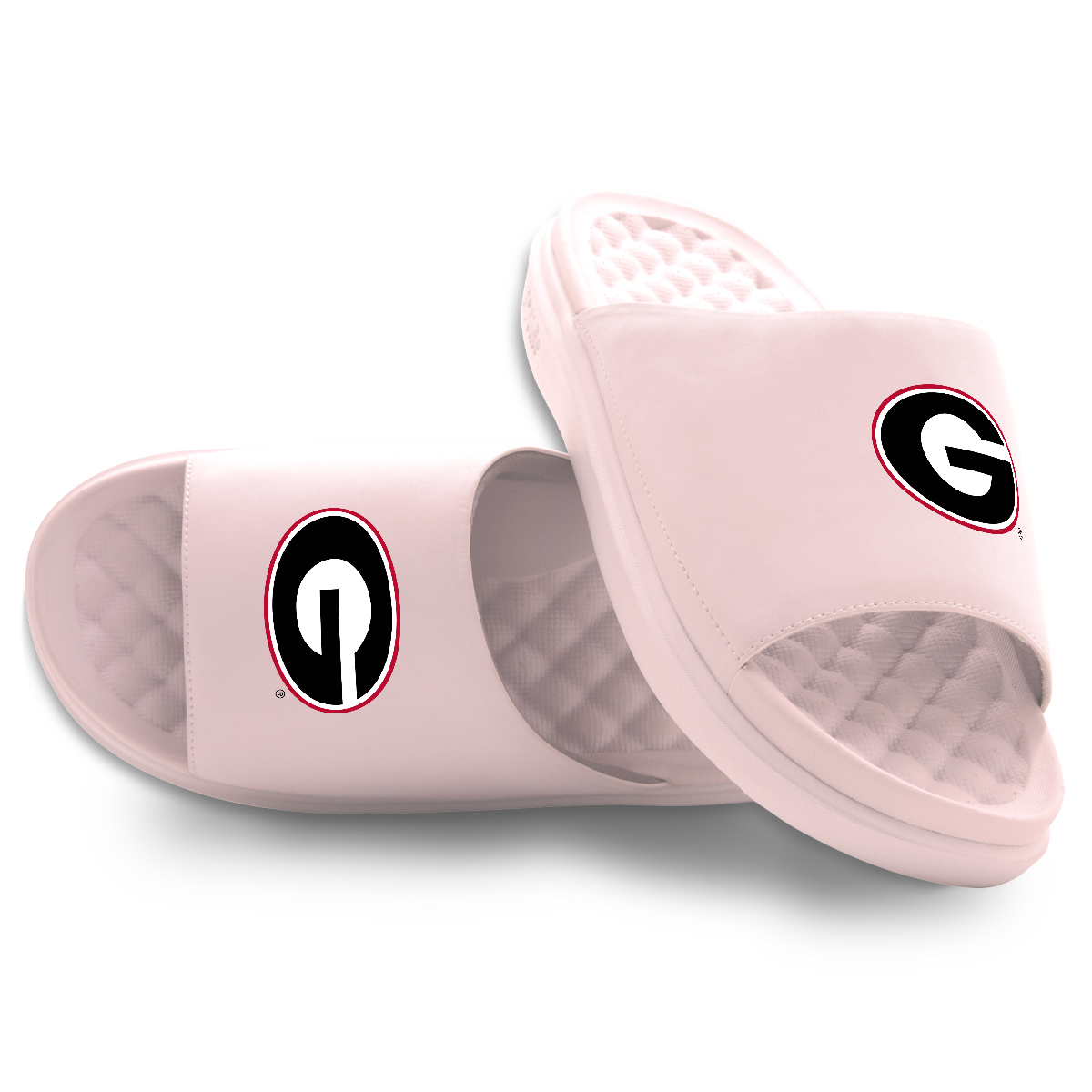 Georgia Bulldogs Primary Motive