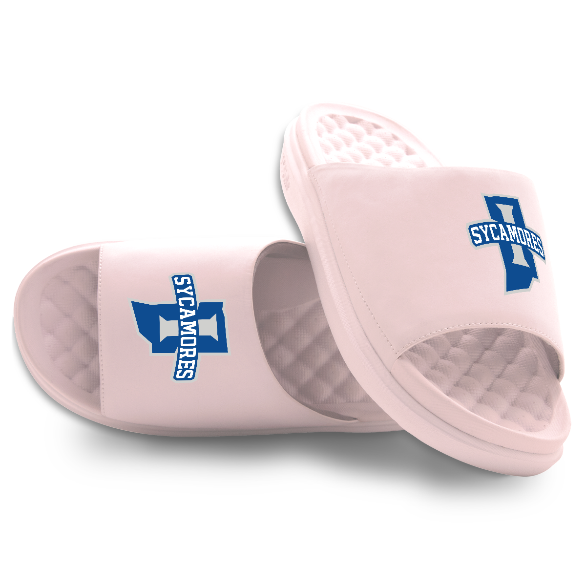 Indiana State Sycamores Primary Motive