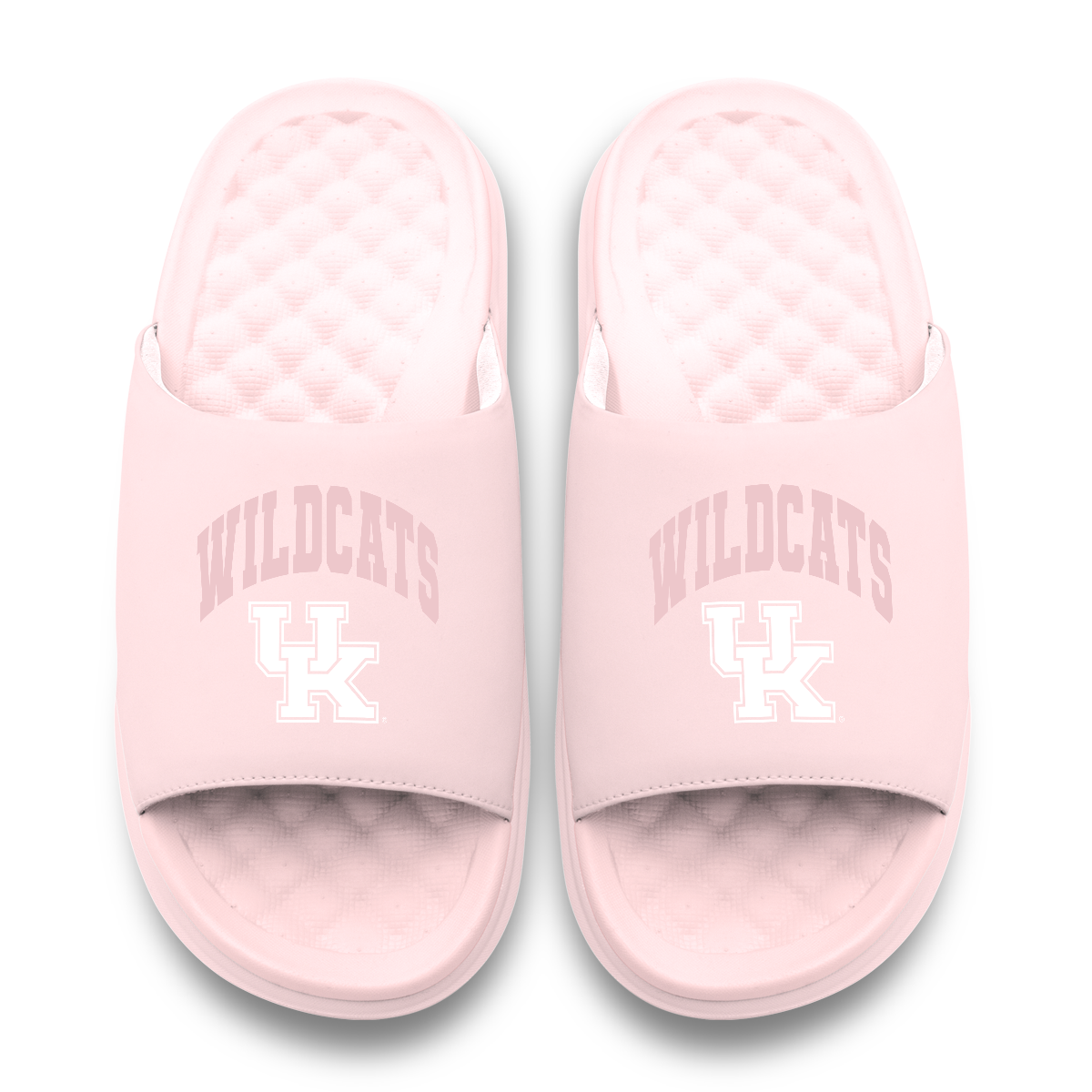 Kentucky Wildcats Tonal Pop Motive