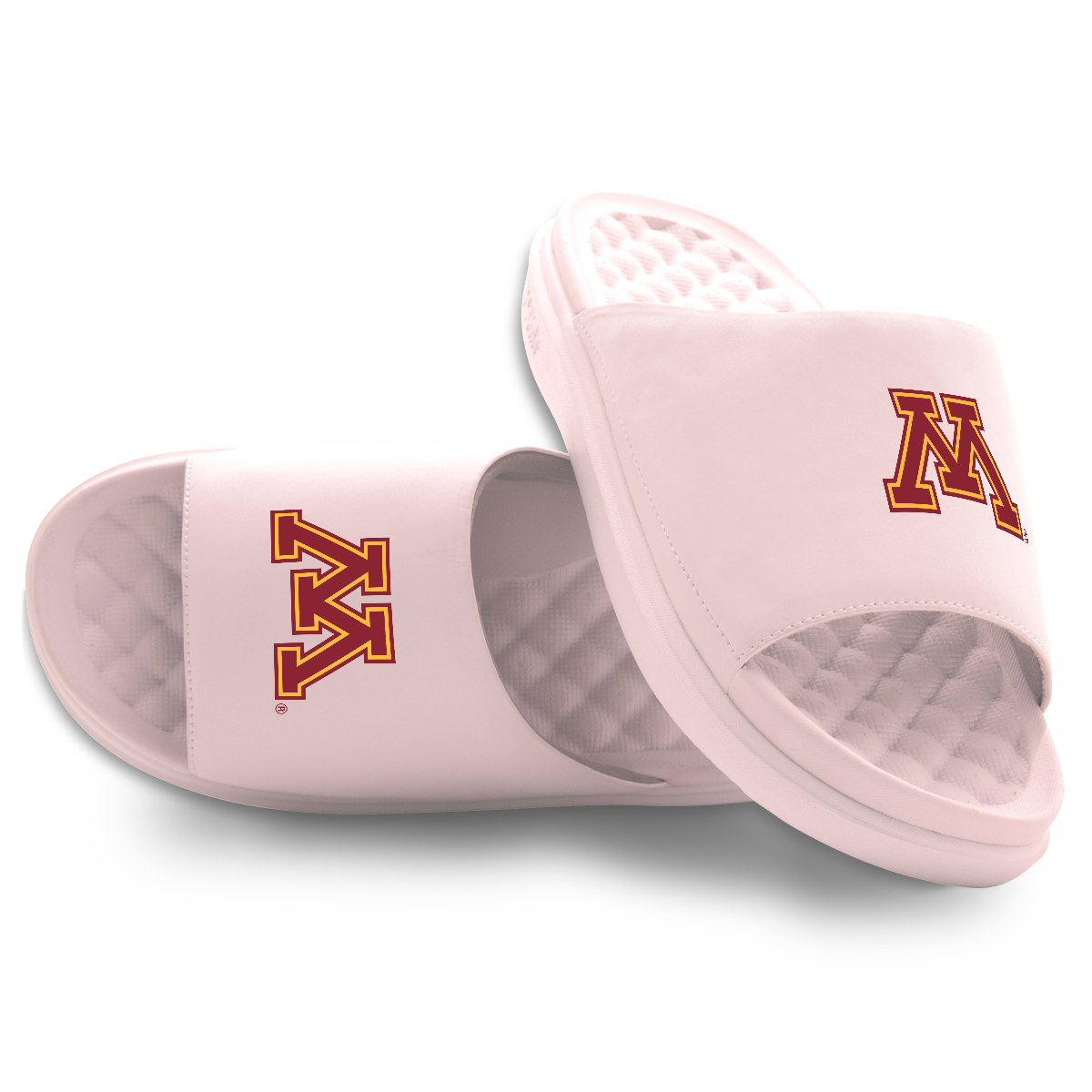 Minnesota Golden Gophers Primary Motive