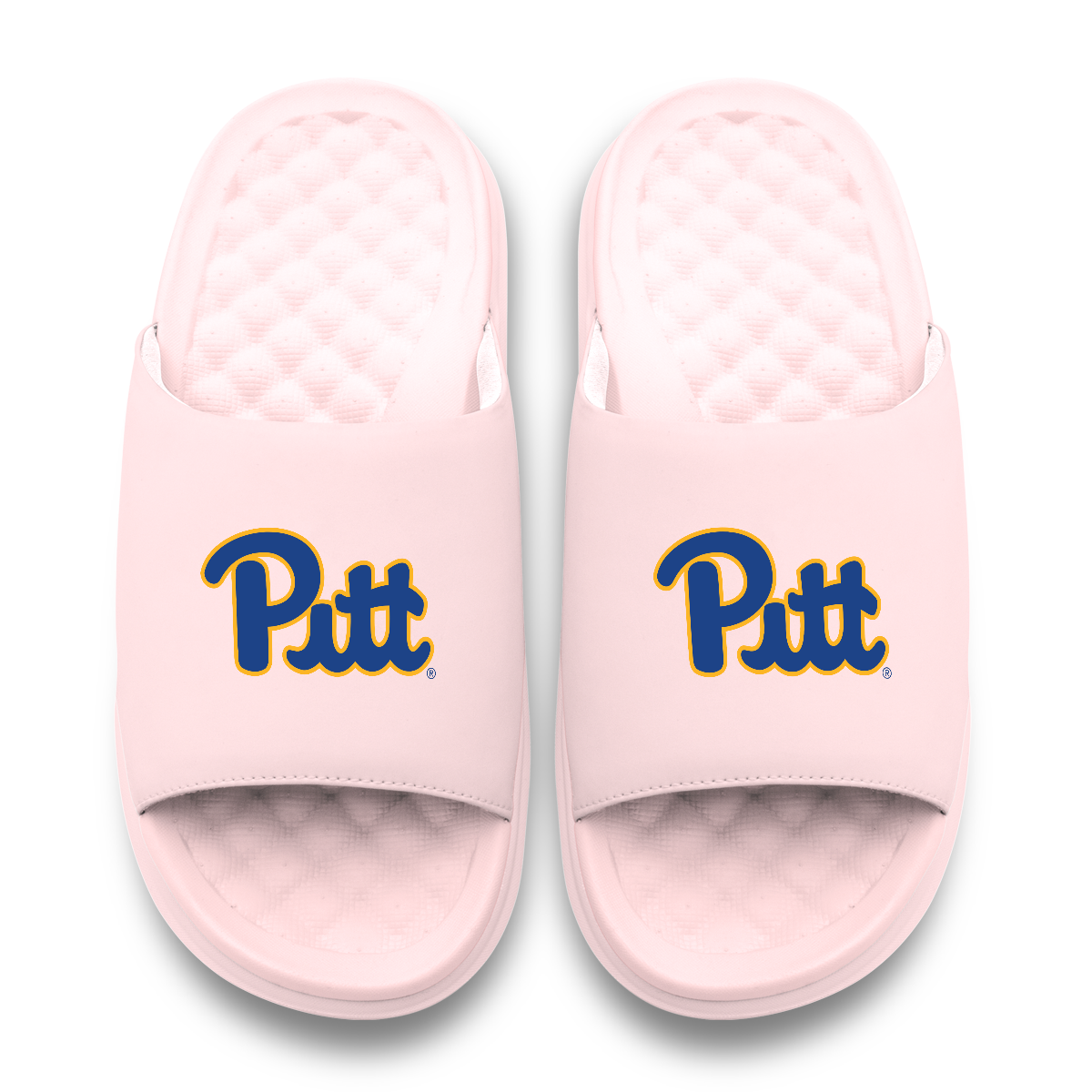 Pitt Panthers Primary Motive