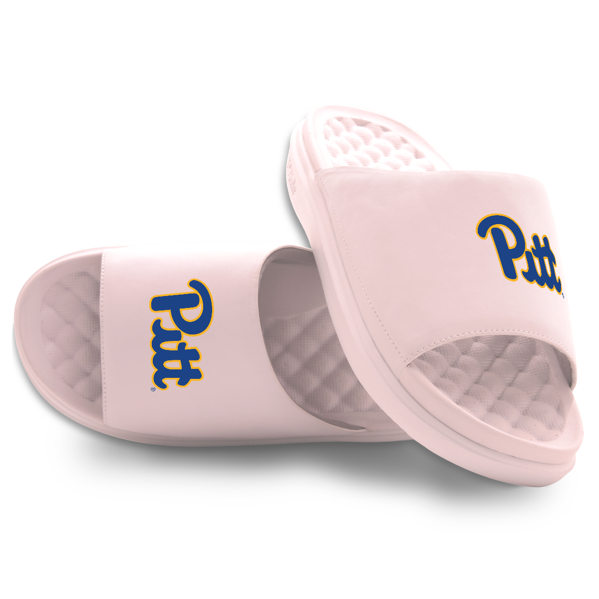 Pitt Panthers Primary Motive