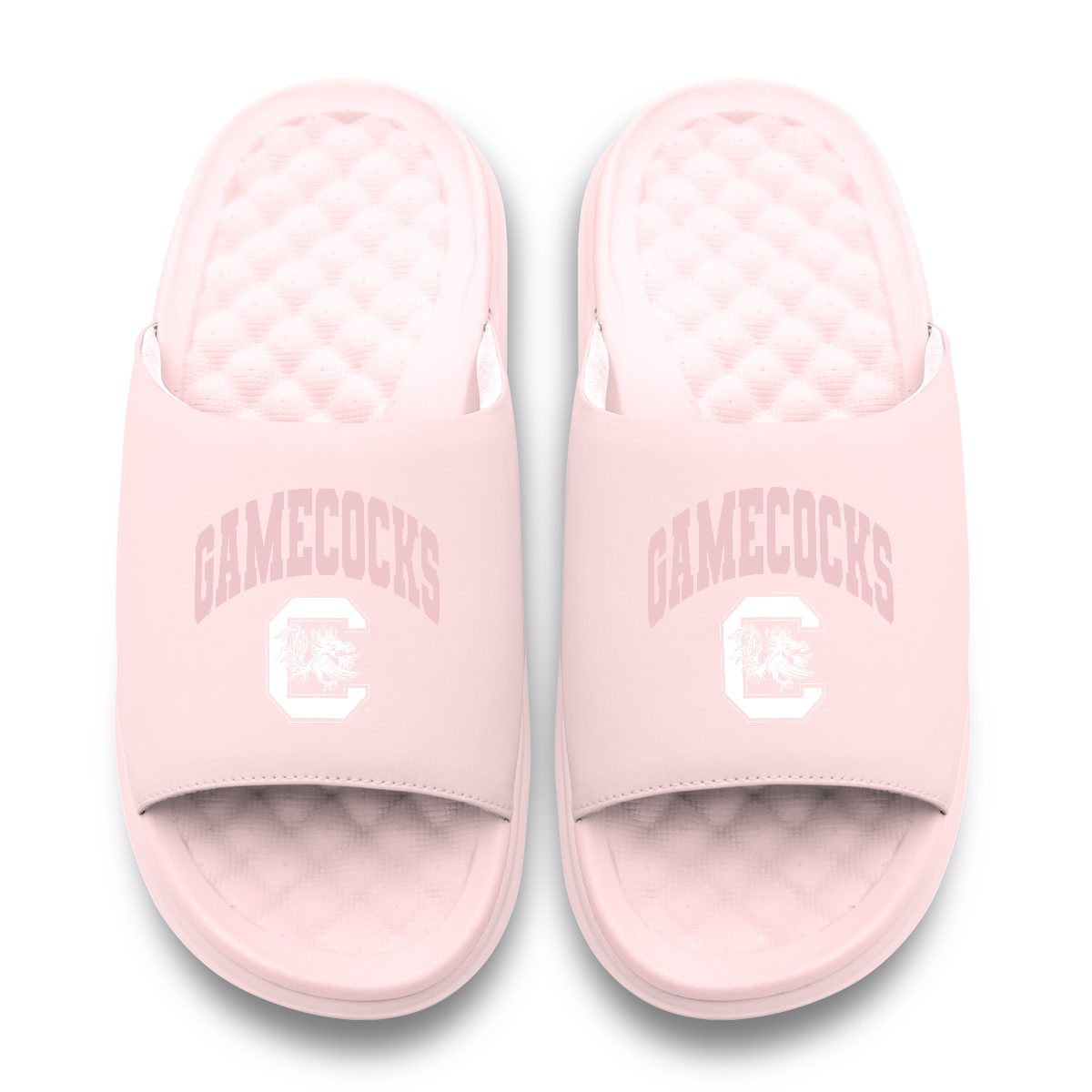 South Carolina Gamecocks Tonal Pop Motive