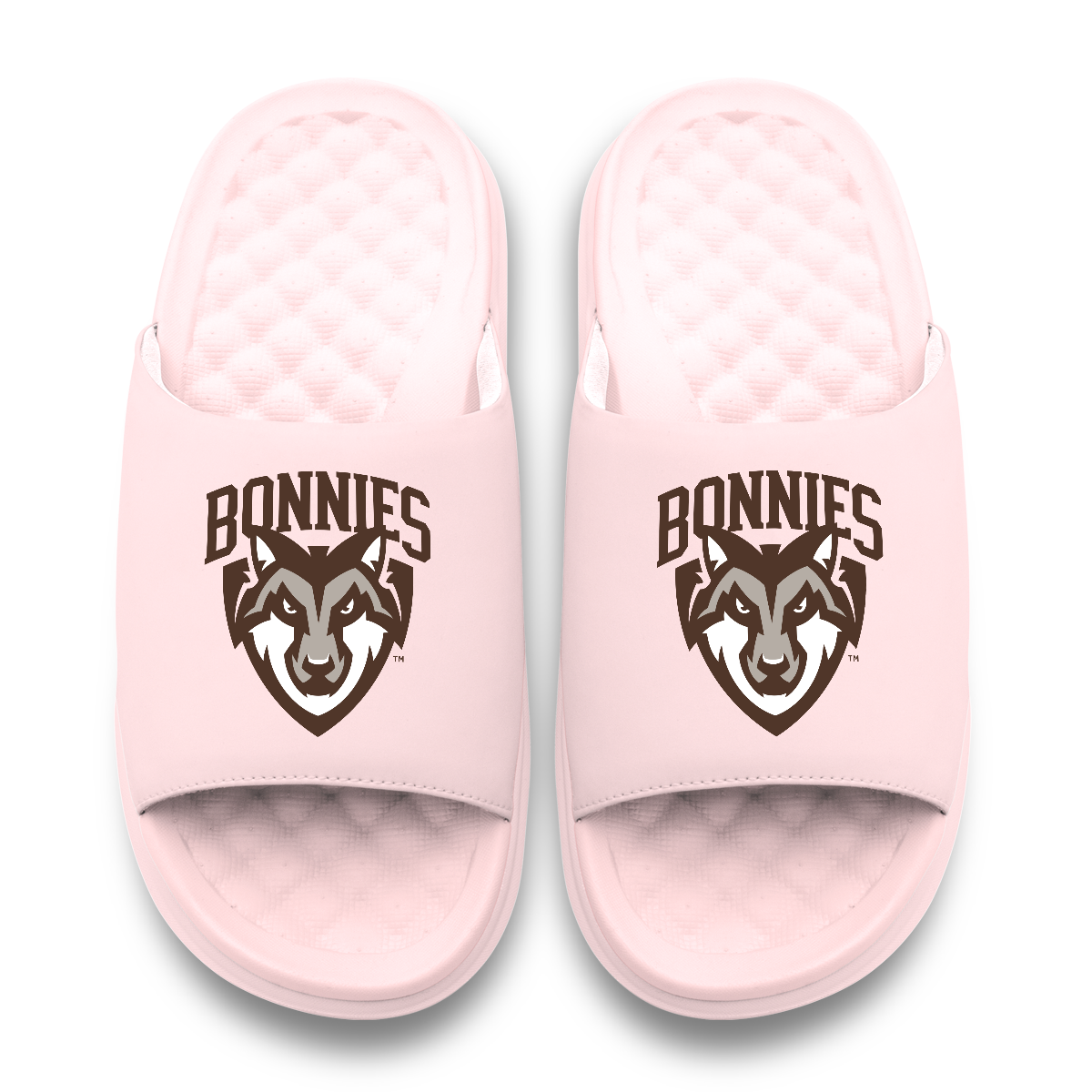 St Bonaventure Bonnies Primary Motive