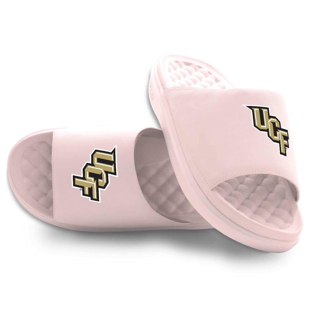 UCF Knights Primary Motive