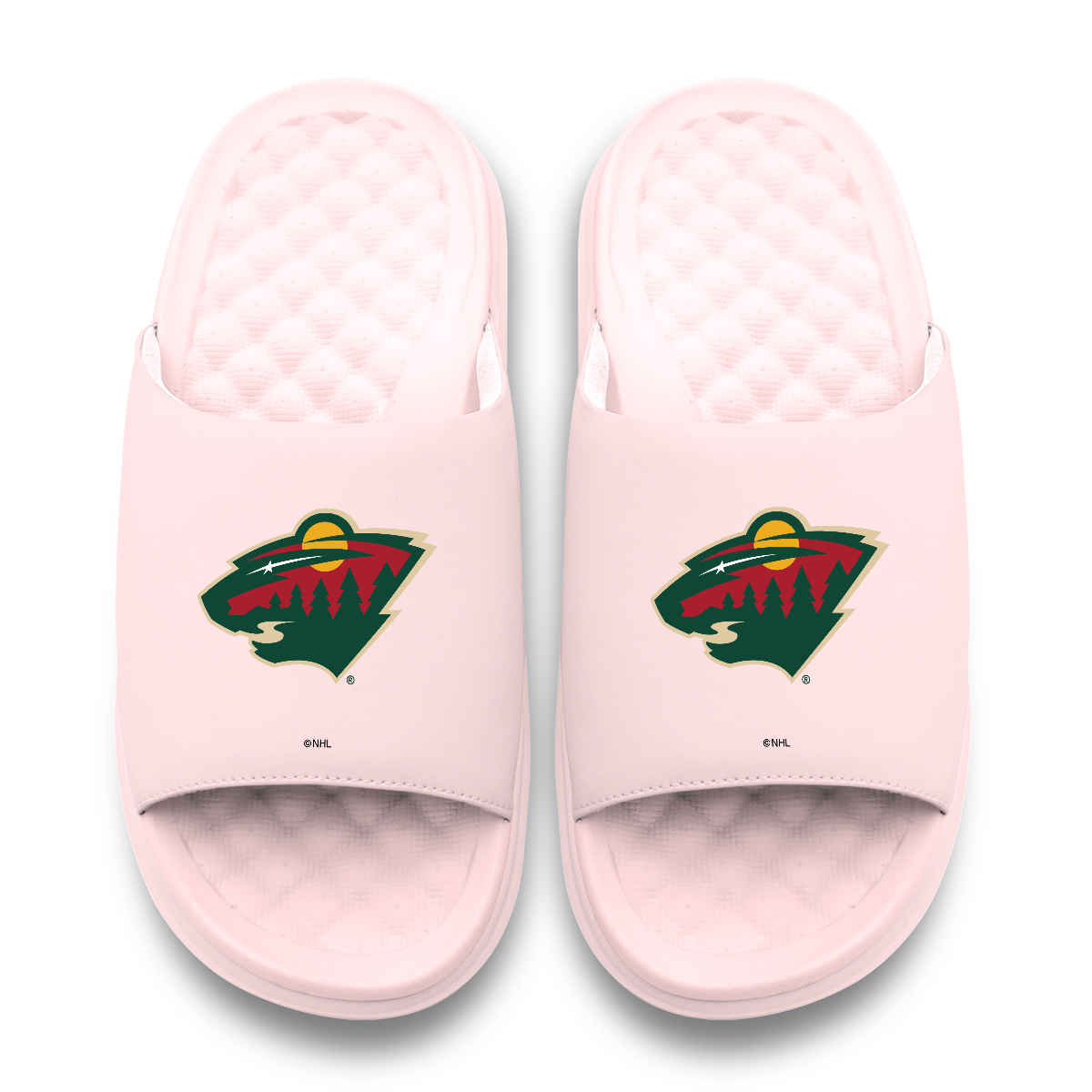 Minnesota Wild Primary Motive