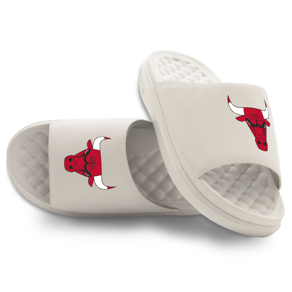 Chicago Bulls Primary Motive