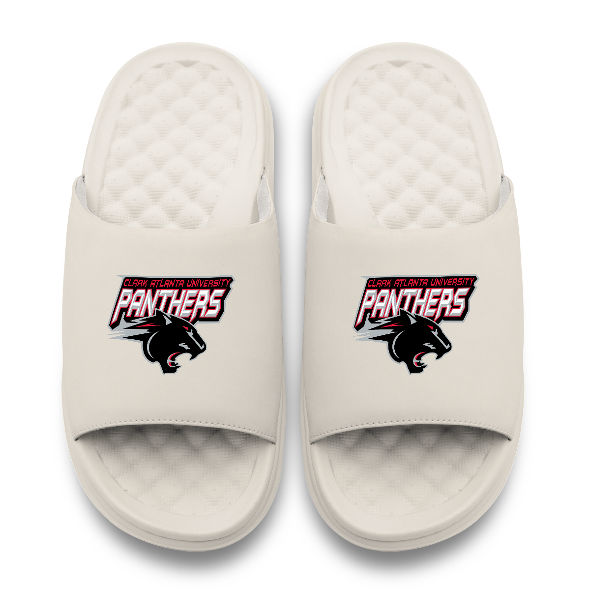Clark Atlantic University Panthers Primary Motive