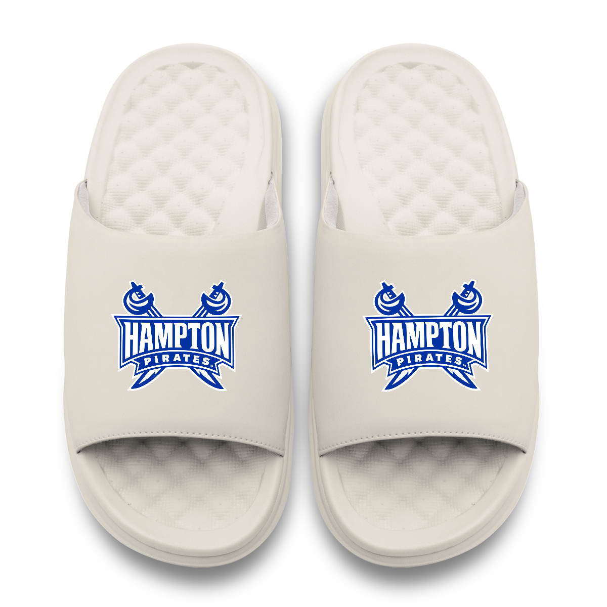 Hampton Pirates Primary Motive
