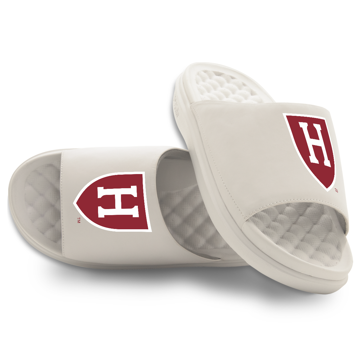 Harvard Crimson Primary Motive