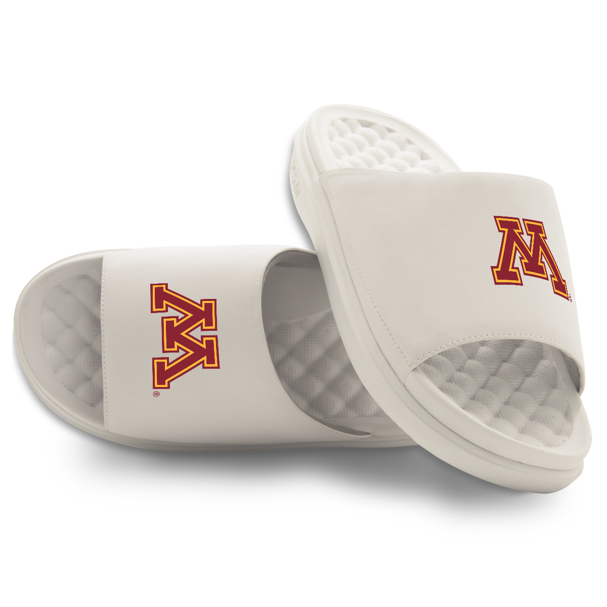 Minnesota Golden Gophers Primary Motive