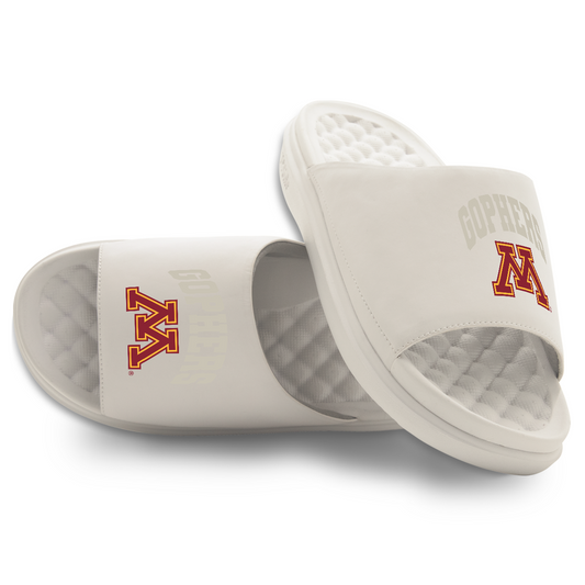 Minnesota Golden Gophers Tonal Pop Motive