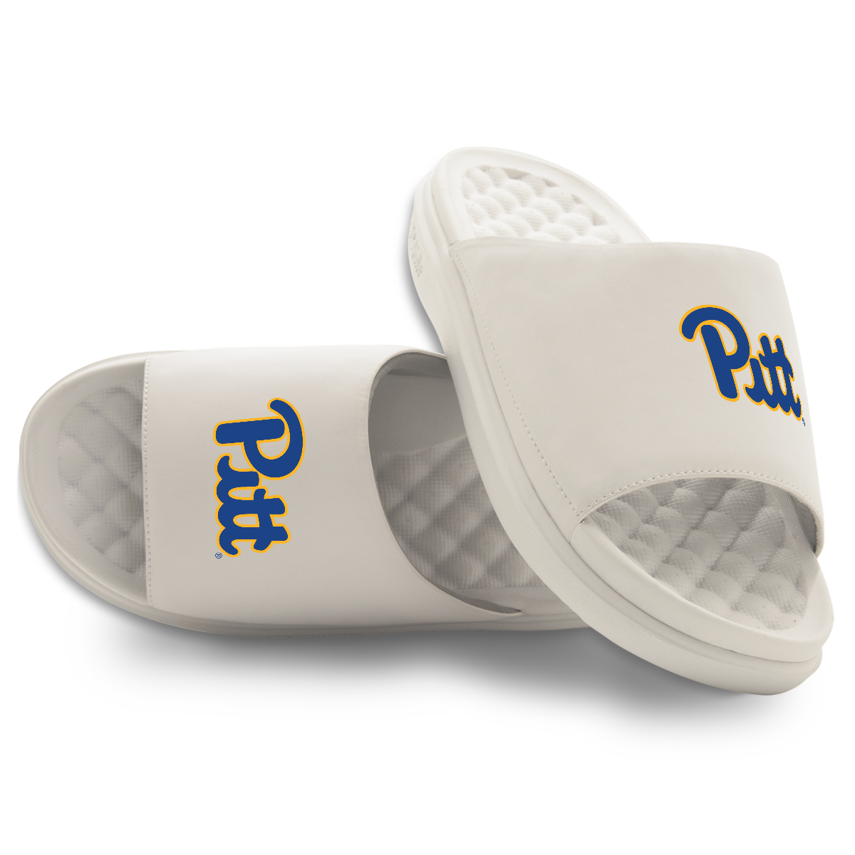 Pitt Panthers Primary Motive