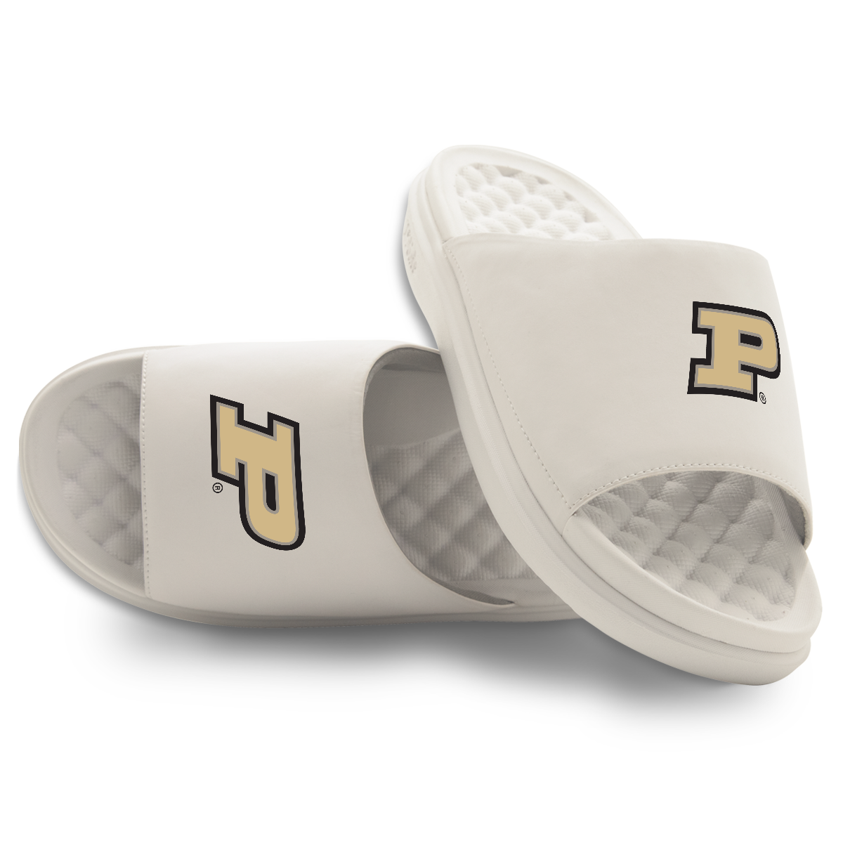 Purdue Boilermakers Primary Motive