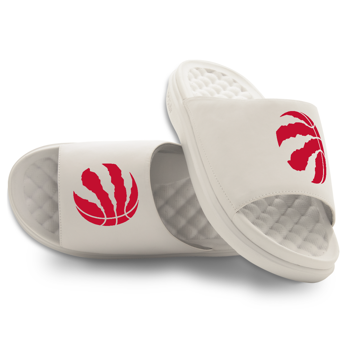 Toronto Raptors Primary Motive