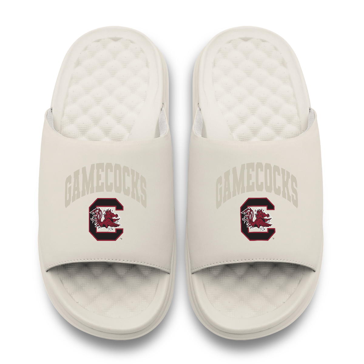 South Carolina Gamecocks Tonal Pop Motive