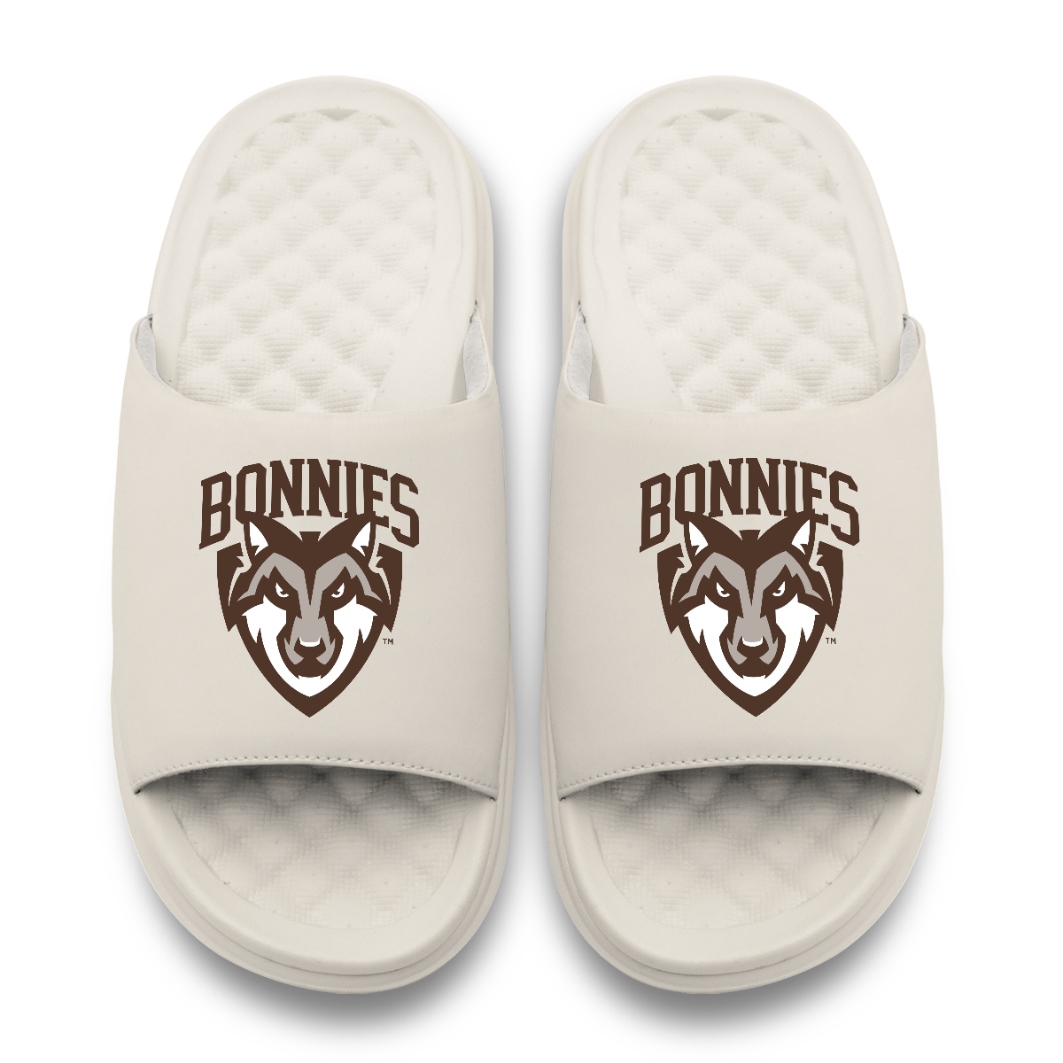 St Bonaventure Bonnies Primary Motive