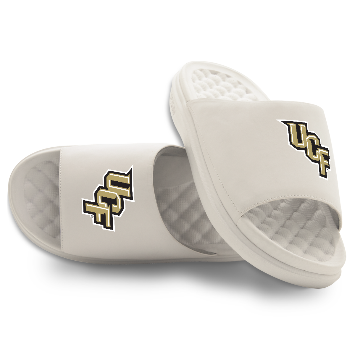 UCF Knights Primary Motive