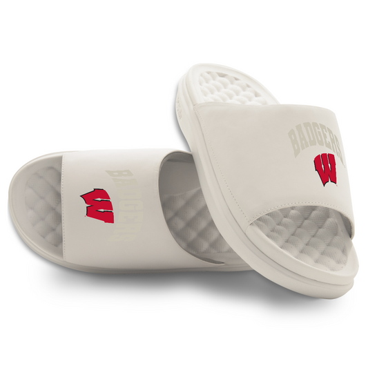 Wisconsin Badgers Tonal Pop Motive