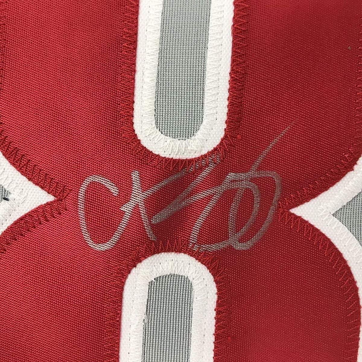 Framed Autographed/Signed Curt Schilling 35x39 Philadelphia Grey Baseball Jersey JSA COA