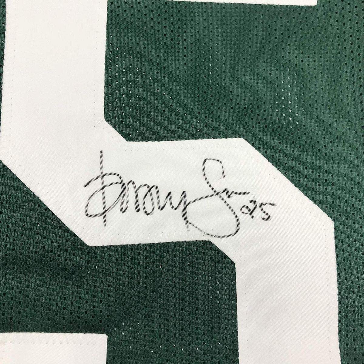 Framed Autographed/Signed Dorsey Levens 35x39 Green Bay Packers Green Football Jersey JSA COA
