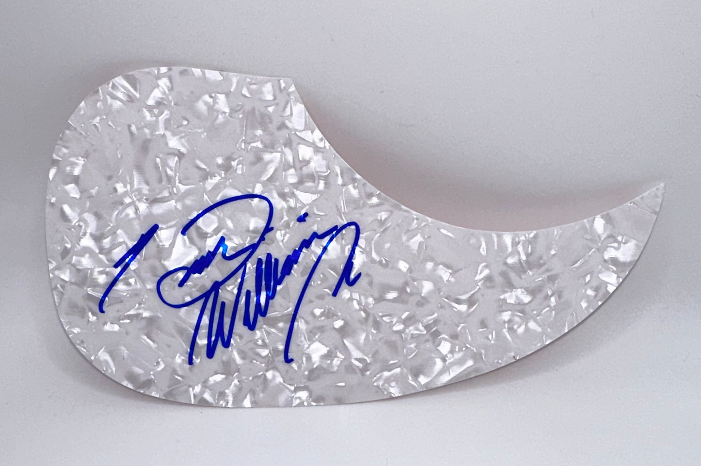 Hank Williams Jr Autographed Pick Guard Silver