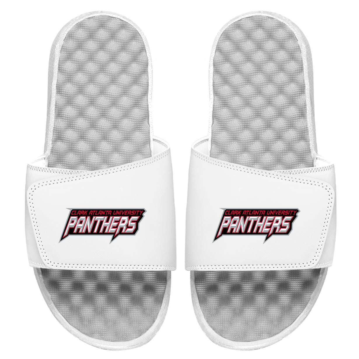 CAU Panthers Wordmark Slides