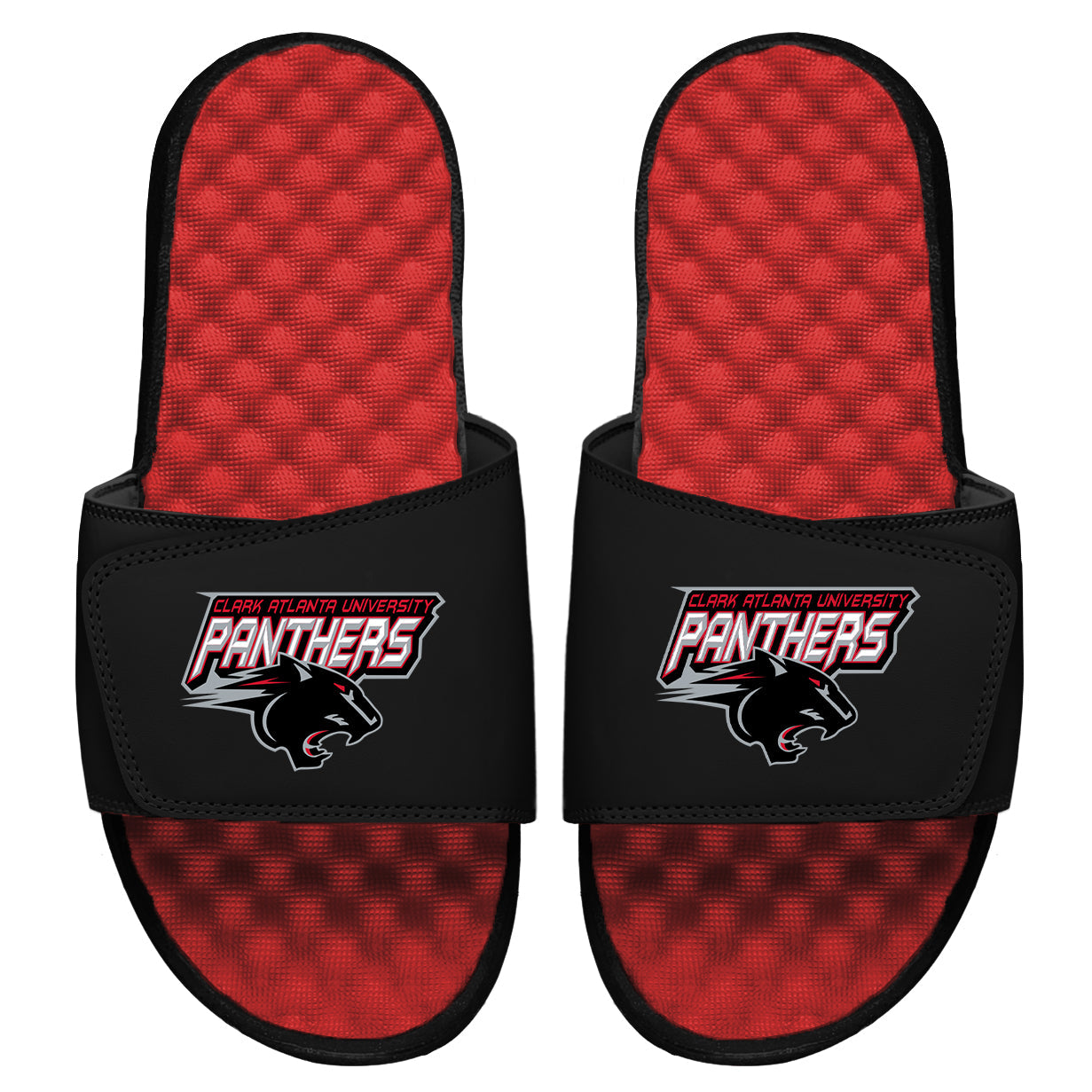 CAU Panthers Slides