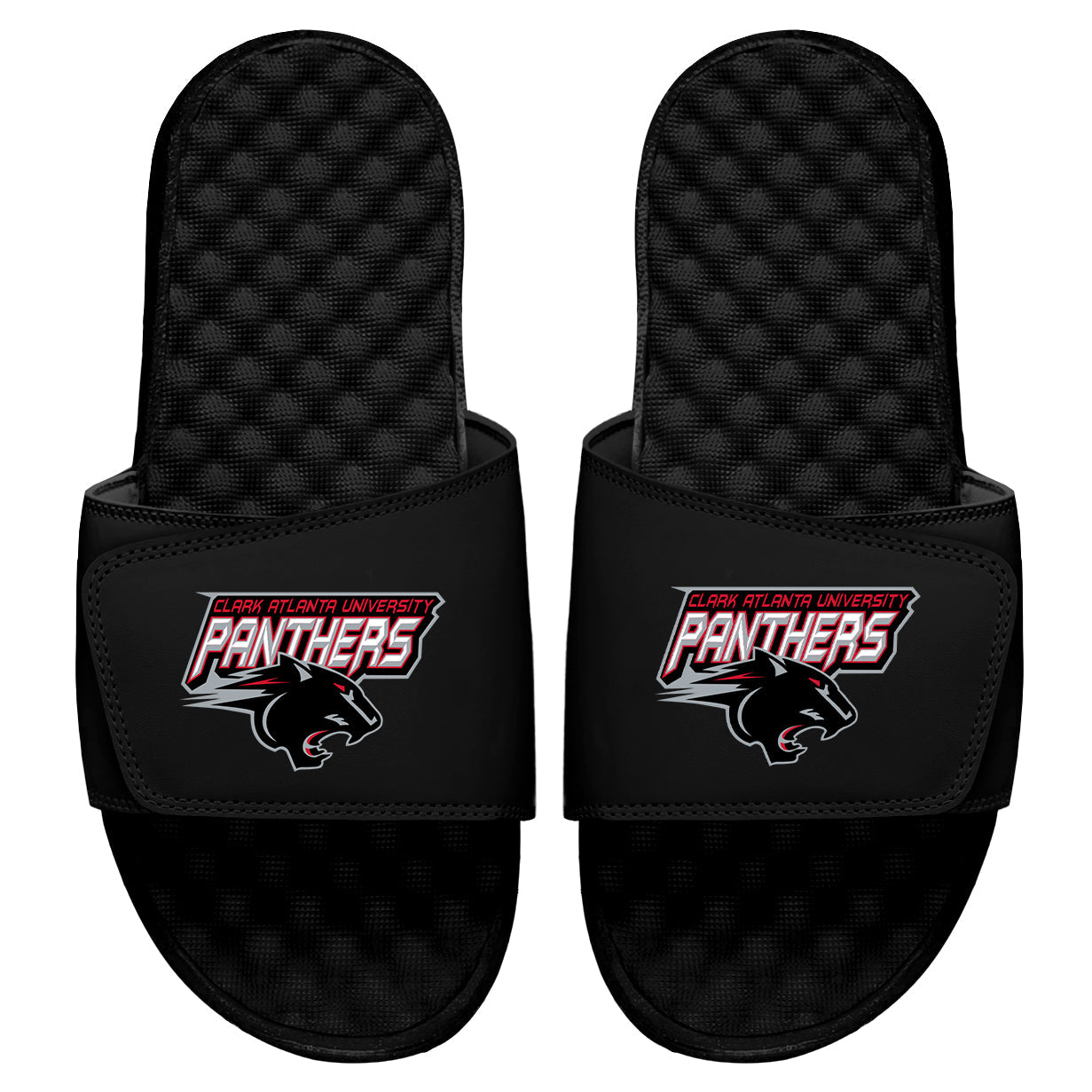 CAU Panthers Slides