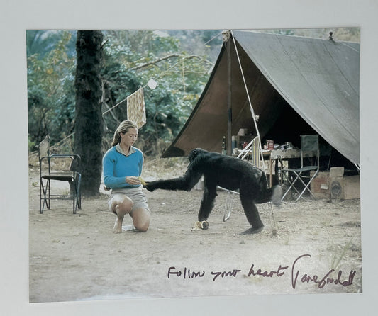 Jane Goodall Autographed 8x10 Photo Scientist Chimpanzee Expert