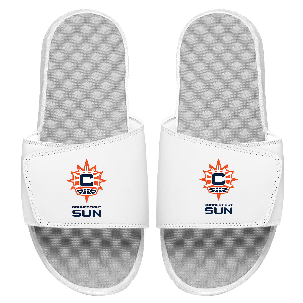 Connecticut Sun Combination Slides