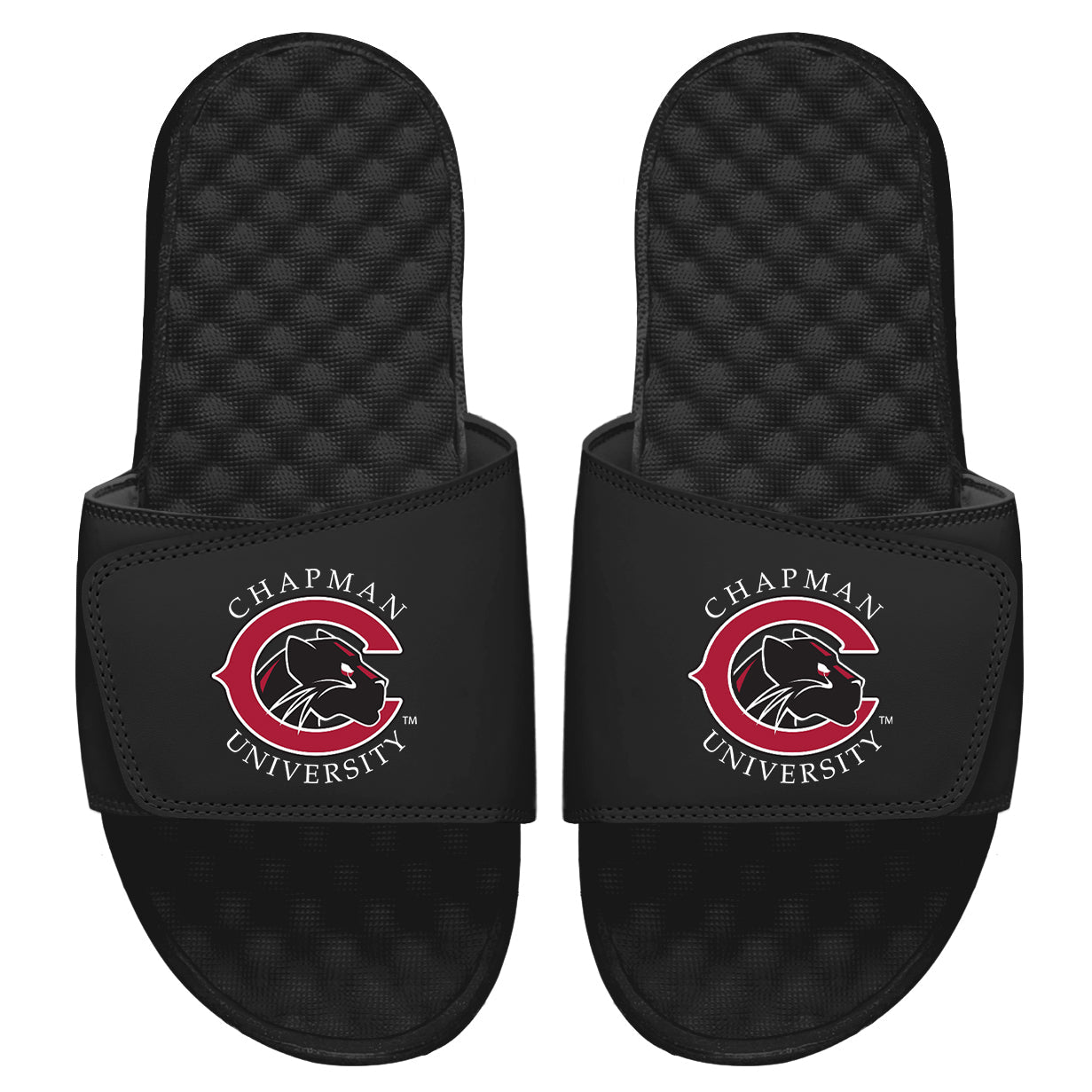 Chapman University Primary Slides
