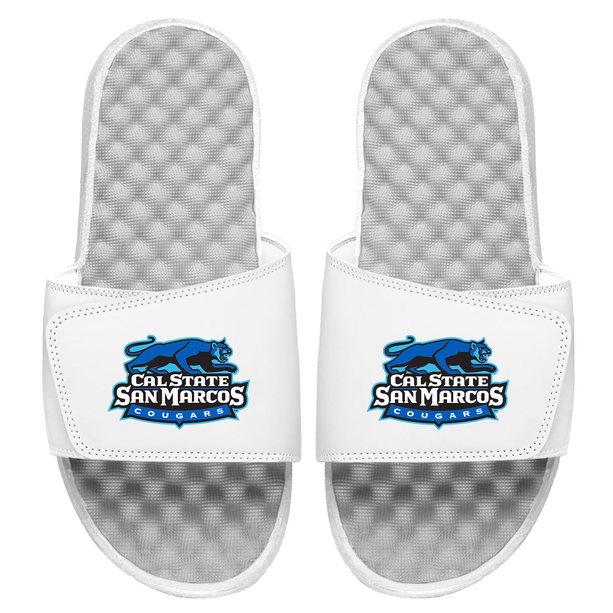 CSUSM Cougars Slides