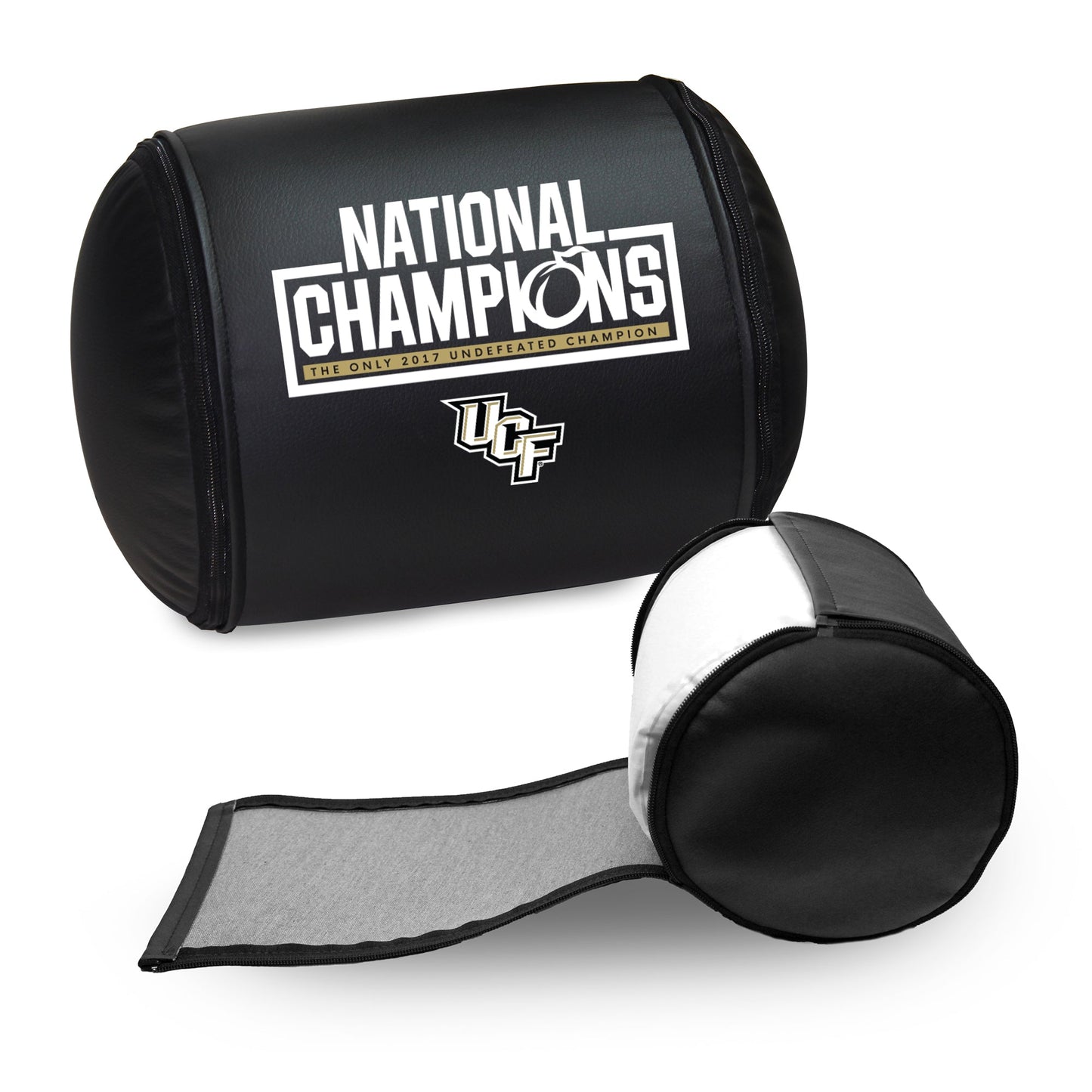 Central Florida UCF Knights Champions Logo Panel