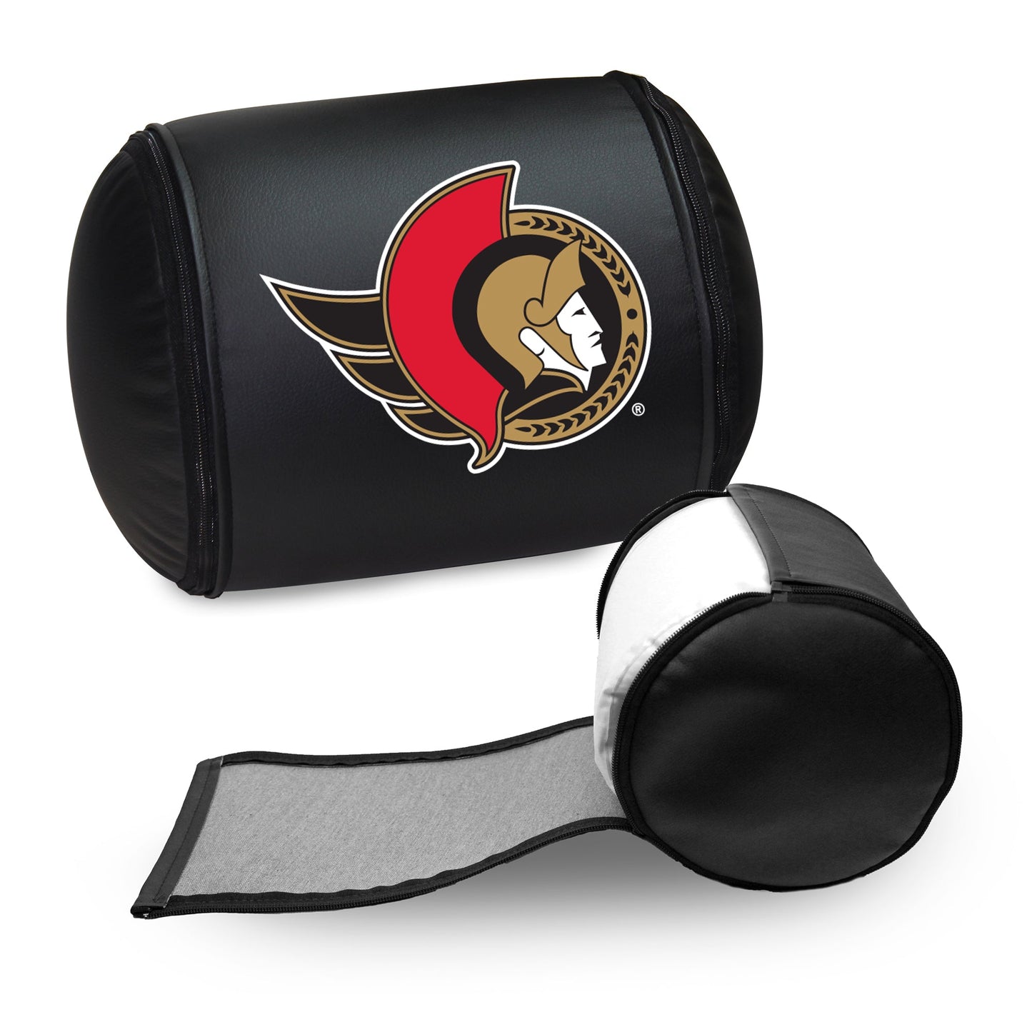 Ottawa Senators Primary Logo Panel