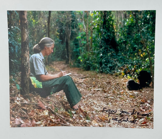 Jane Goodall Autographed 8x10 Photo Scientist Chimpanzee Expert