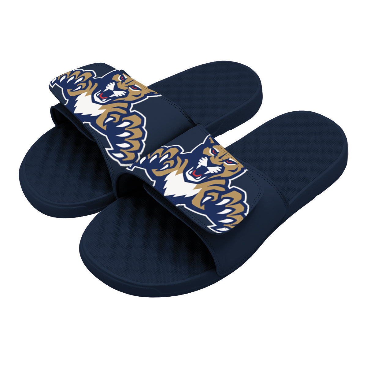 Florida Panthers Blown Up Slides