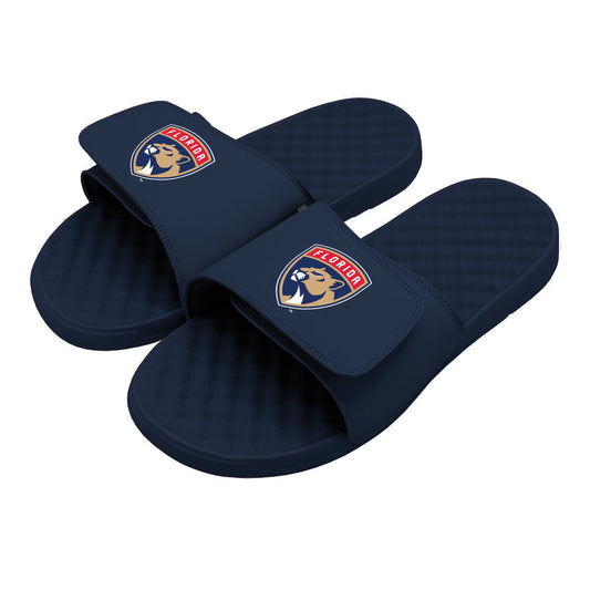 Florida Panthers Primary Slides