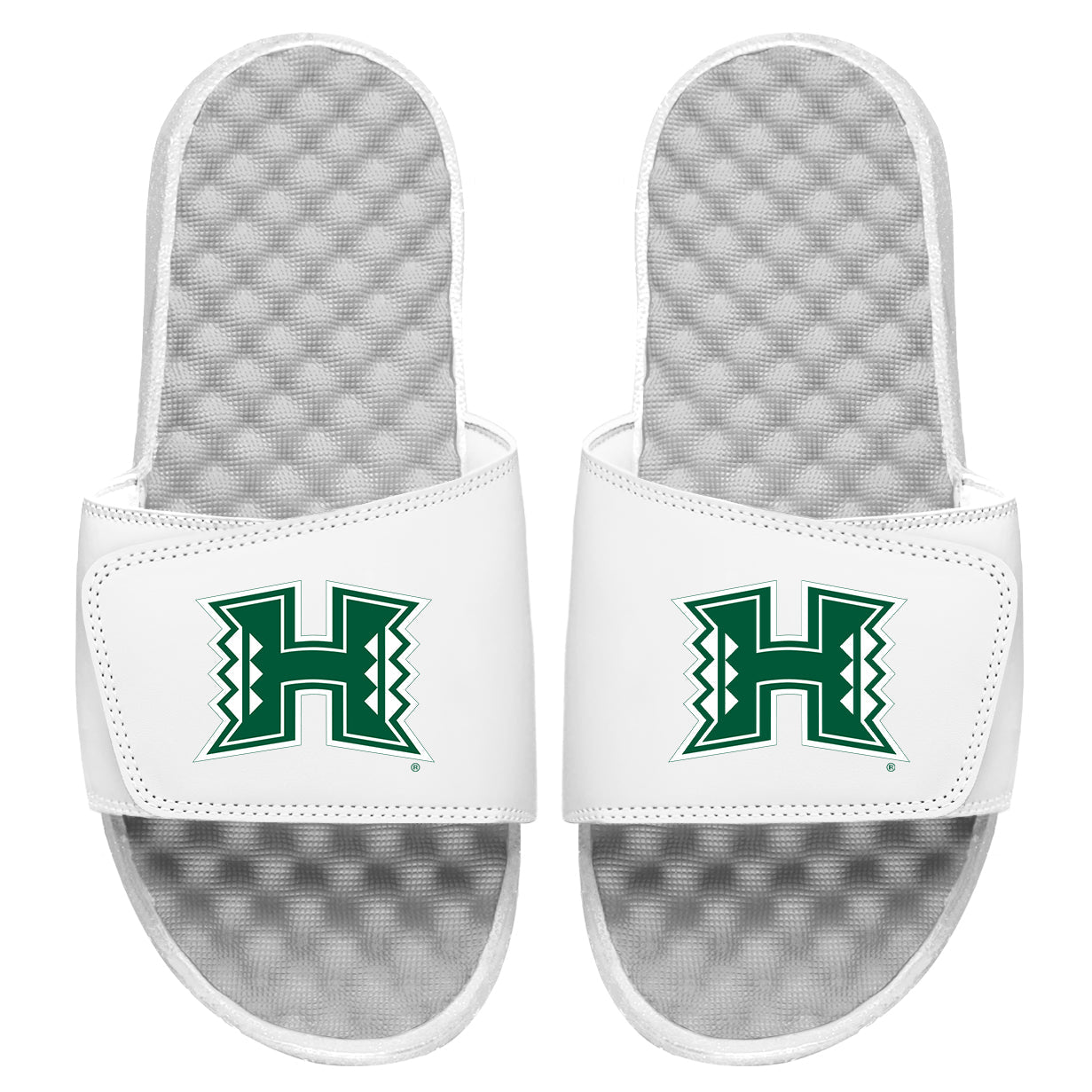 University of Hawaii: Primary Logo Slides