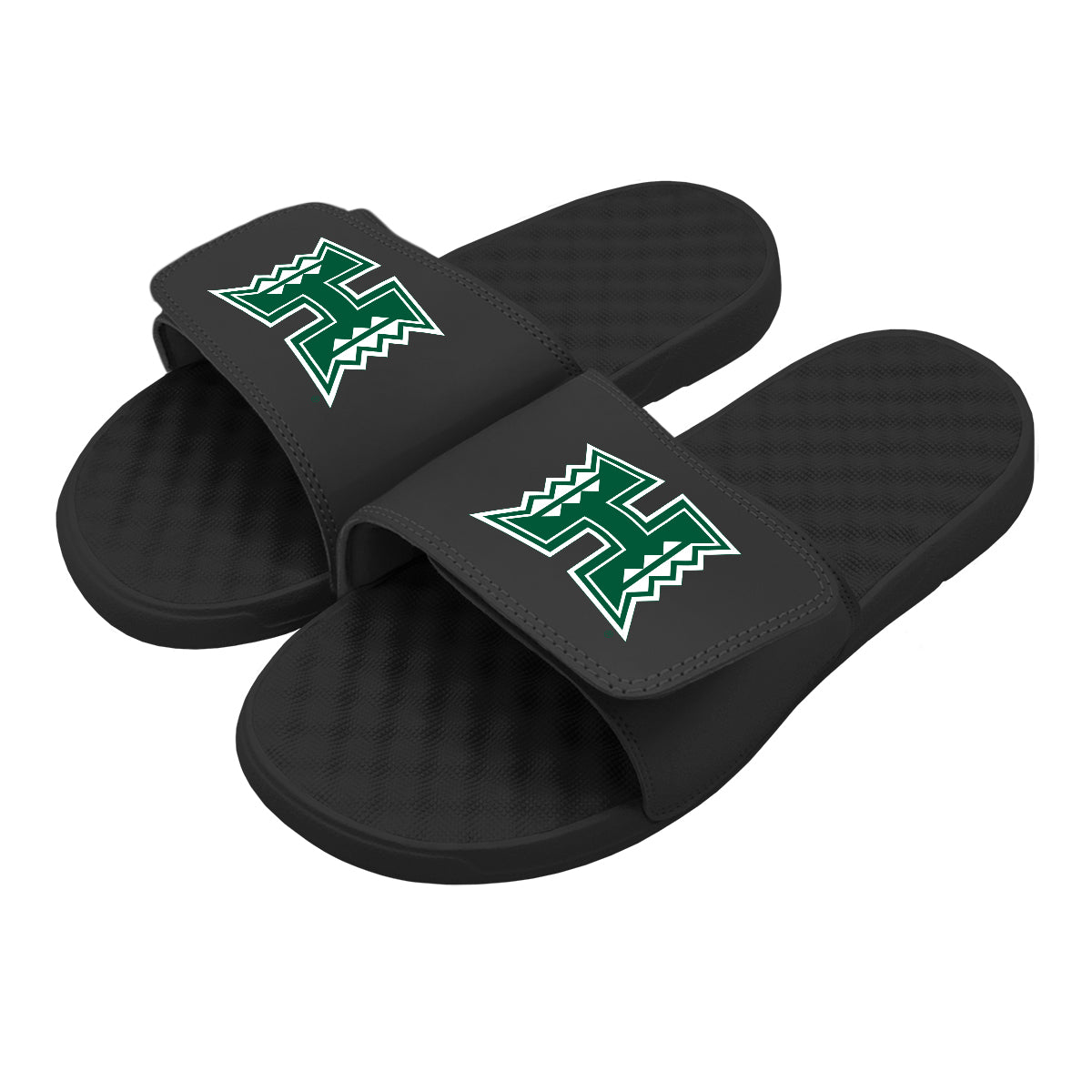 University of Hawaii: Primary Logo Slides
