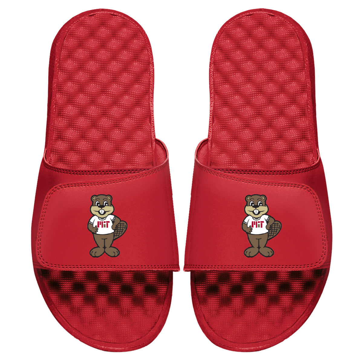 MIT Mascot Slides