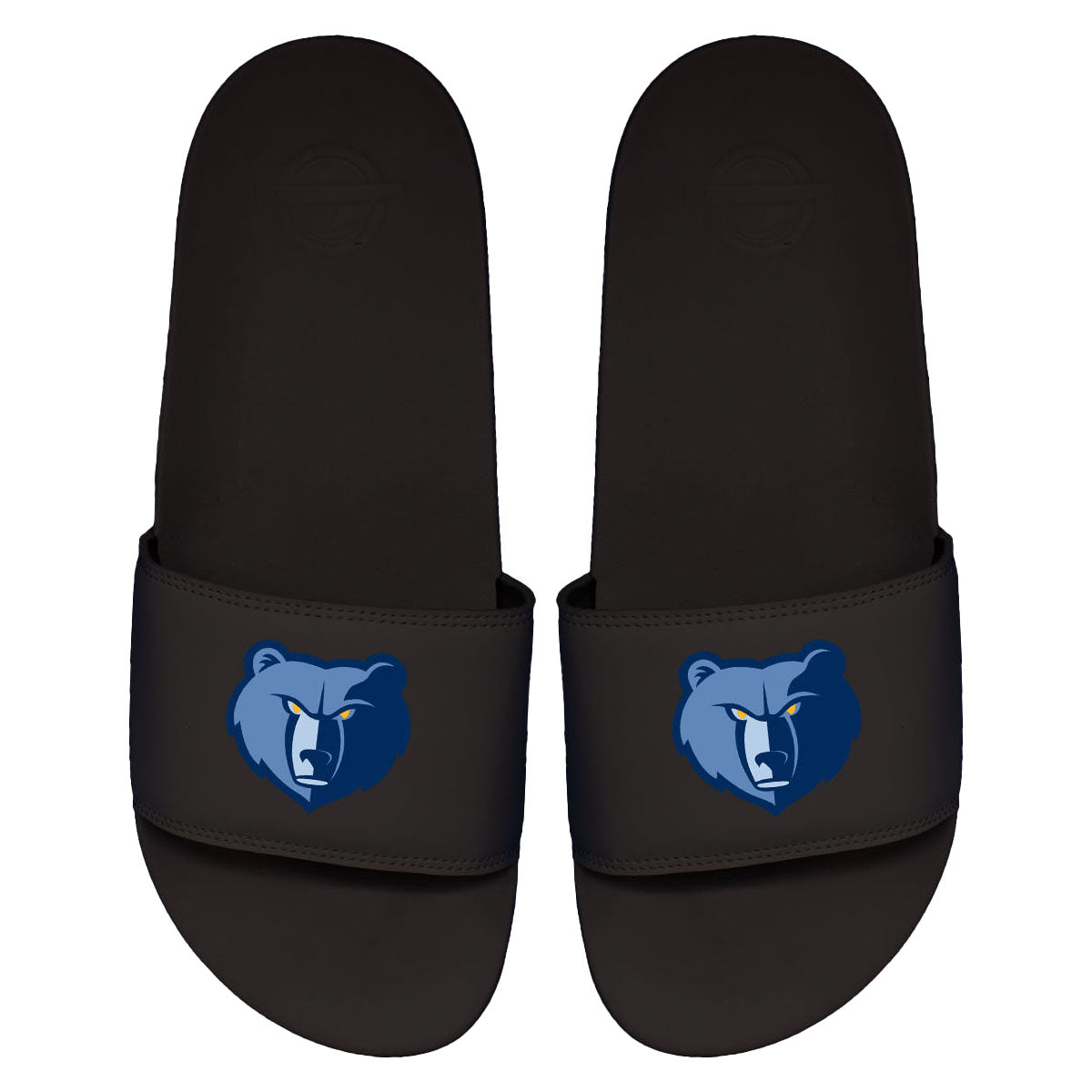 Grizzlies Primary Motto Slides
