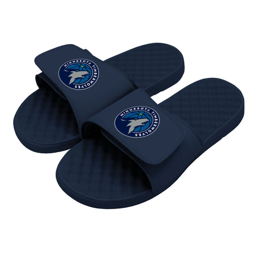 Minnesota Timberwolves Primary Slides