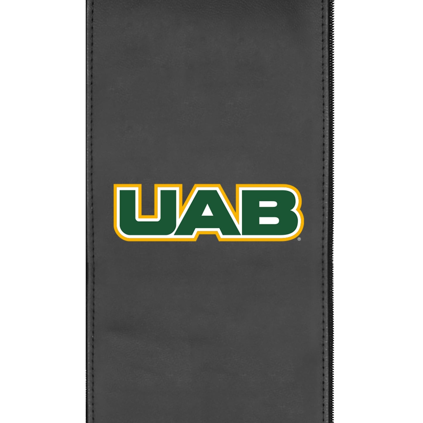 Alabama Birmingham Blazers Primary Logo Panel