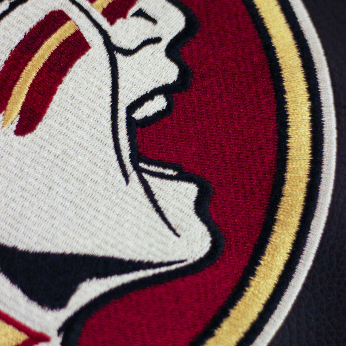 Florida State University Logo Panel