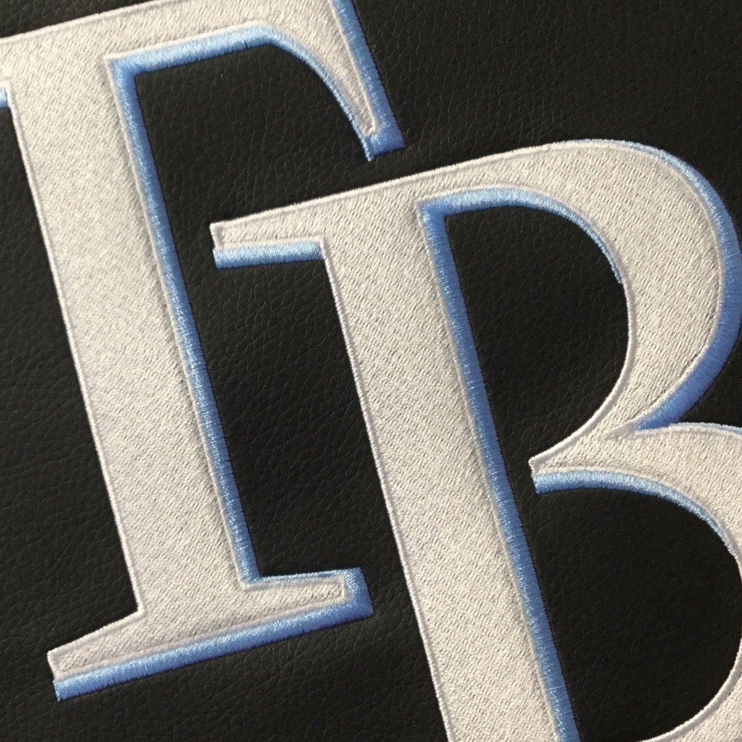 Tampa Bay Rays Secondary Logo Panel