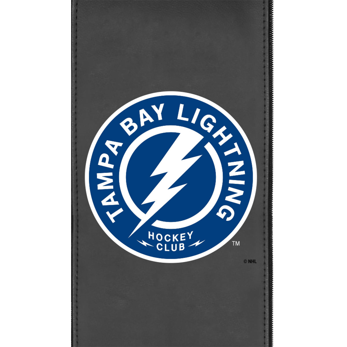 Tampa Bay Lightning Alternate Logo Panel